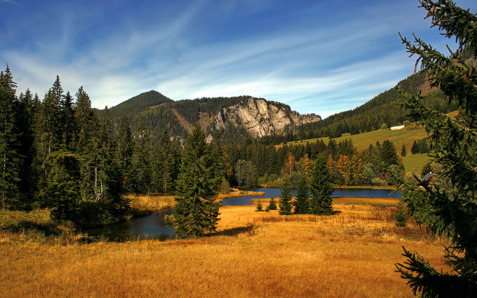 东契奇双线封神夜，奥运周期关键战，一人改写攻防棋局