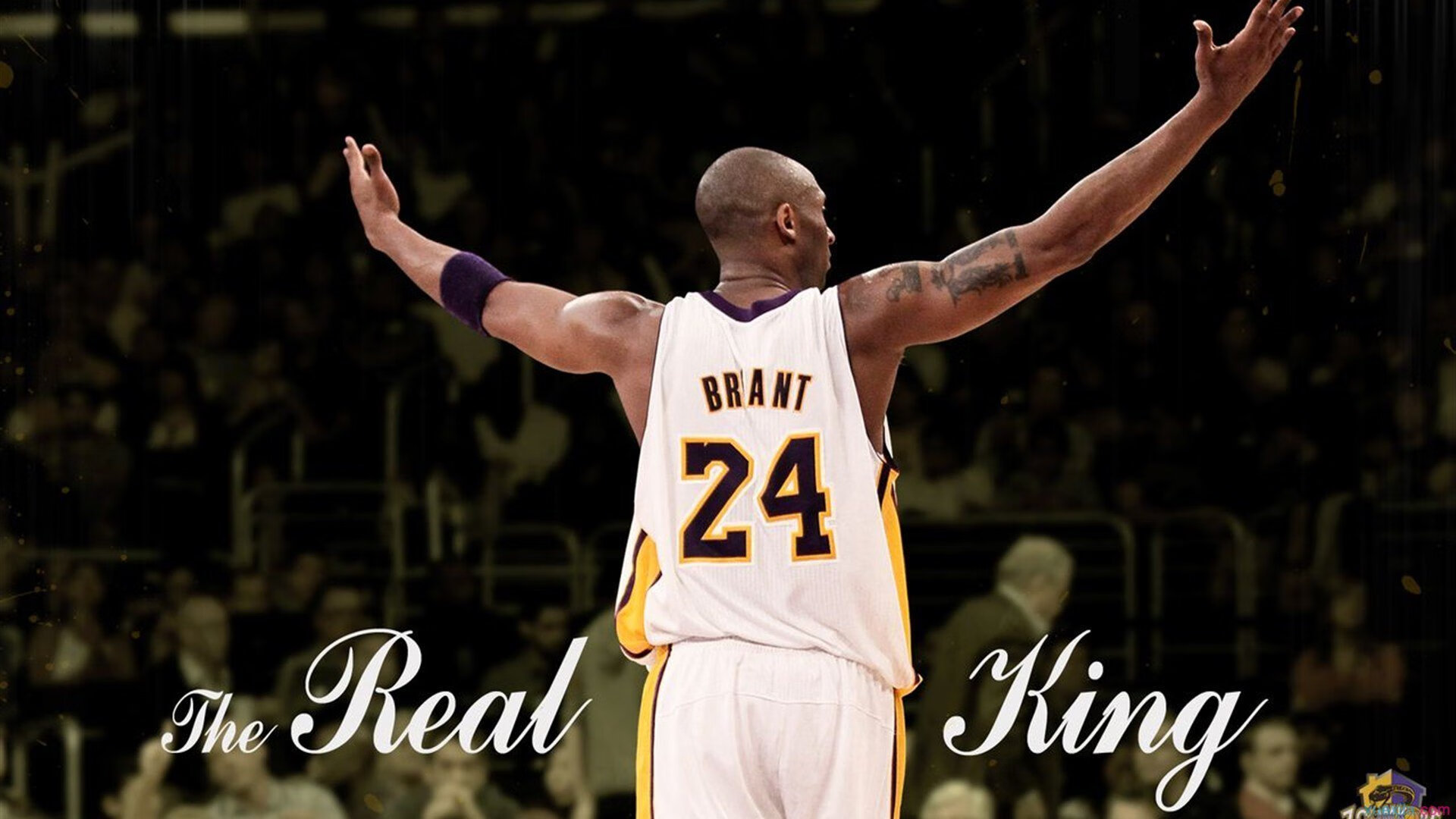 意甲焦点战之夜，范弗利特化身隐形发动机，稳定输出，从未掉线